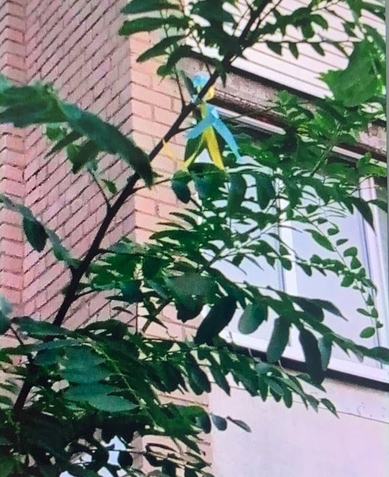 В Мелитополе радуют глаз патриотические деревья (фото)